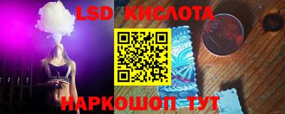 прущие крисы Славгород