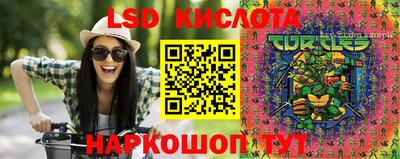прущие крисы Славгород