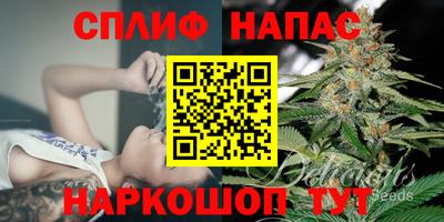 прущие крисы Славгород