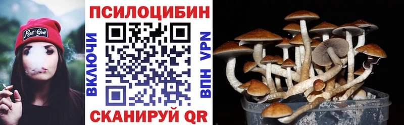 Галлюциногенные грибы мухоморы  дарк нет формула  Электрогорск 