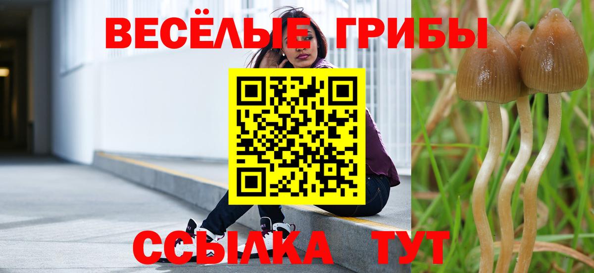 Галлюциногенные грибы мухоморы  Вход с VPN  Электрогорск 